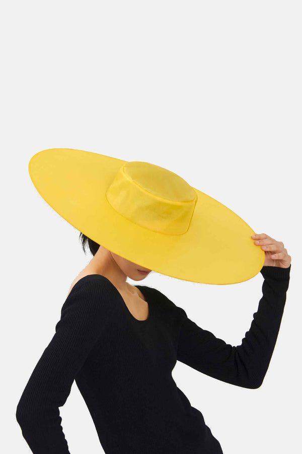 Wide-brimmed hat